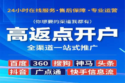 SEM服务案例：提升网站流量